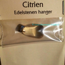 Citrien hanger