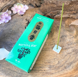 Sage - Salie - Nippon Kodo Morning Star