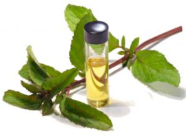 Kruizemunt bio (Mentha spicata) 5ml