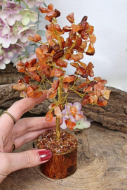 Edelsteen boompje Carneool ca. 18 cm