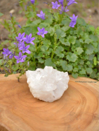Bergkristal Cluster 246 gram