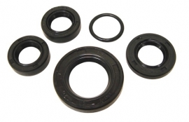 Olie keerringset compleet motorblok Peugeot Rapido / ST
