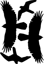 Vogelbescherming's Silhouetten Stickers 3