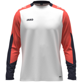 Longsleeve Dynamic