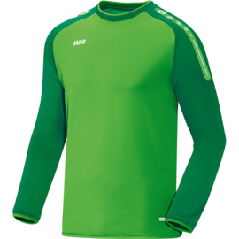 Sweater Champ zachtgroen/sportgroen (8817/22) (SALE)