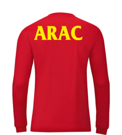 Shirt Team LM royal (+ Clublogo en ARAC achteraan)(4333/04)