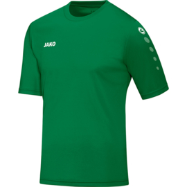 Jako Shirt Team KM sportgroen (4233/06)