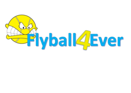 Flyball4ever