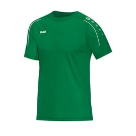 T-shirt Classico sportgroen (met clublogo  VK LINDEN) (6150/06) 