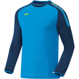 Ziptop/Sweater