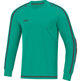 JAKO Shirt de gardien Striker 2.0 turquoise/anthra (8905/24) (SALE)