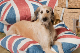 Duvet Losse Overtrek Vintage Union Jack