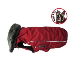 Winterjack Amundsen voor Mopshond & Bulldog Rood  Maat 34 cm