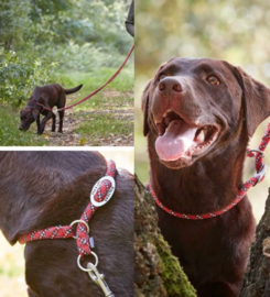 Sliphalsband Everest  Reflecterend  rood / zwart