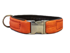 Halsband Leer Oranje - Bruin  Halsomvang 38 cm