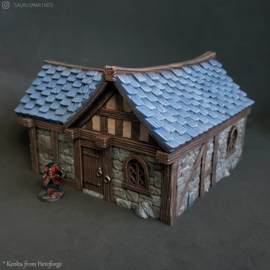 VVM-A063 - Fantasy House