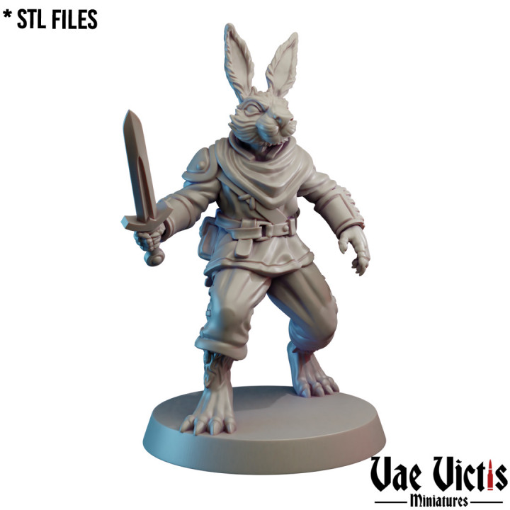 VVM-A295 - Rabbit Fighter