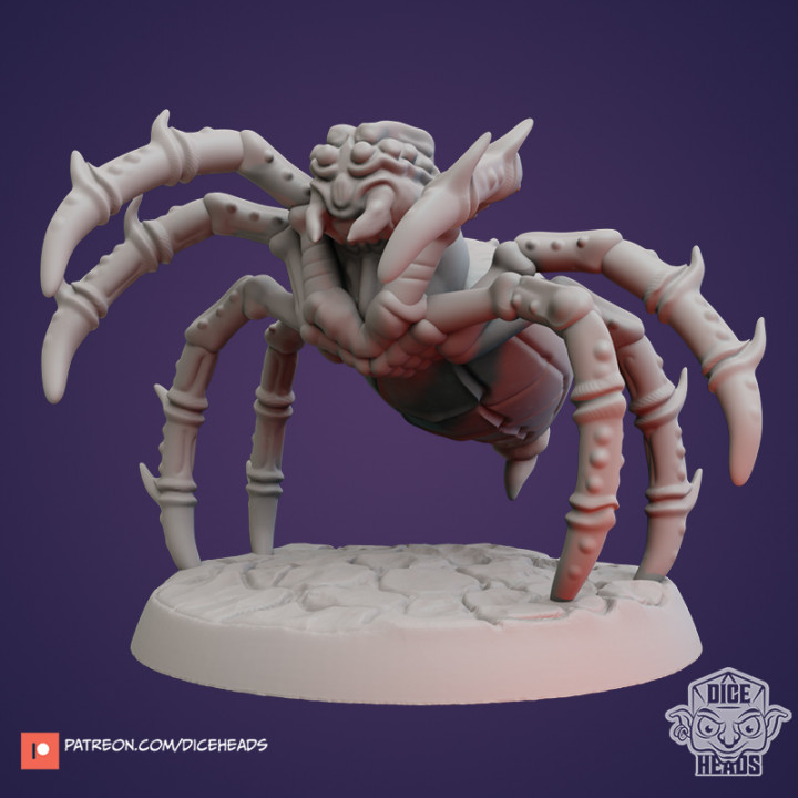 DHB-019 - Giant Spider