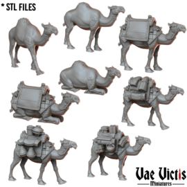 VVM-A074 - Camels