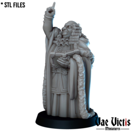 VVM-A098 - Judge
