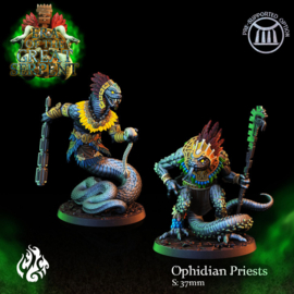 CG-A039- Ophidian Priests