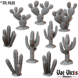 VVM-A075 - Cactuses