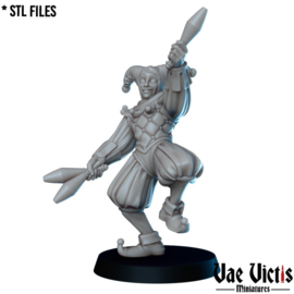 VVM-A041 - The Jester