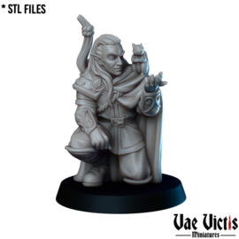 VVM-A071 - Elf Ranger