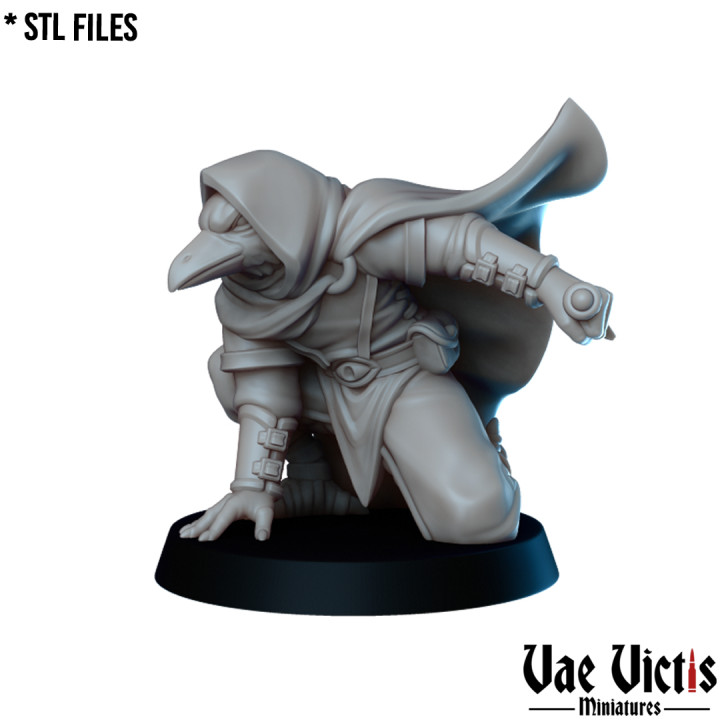VVM-A202 - Kenku Thief
