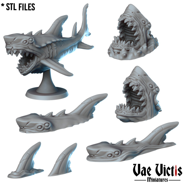 VVM-A256 - Sharks