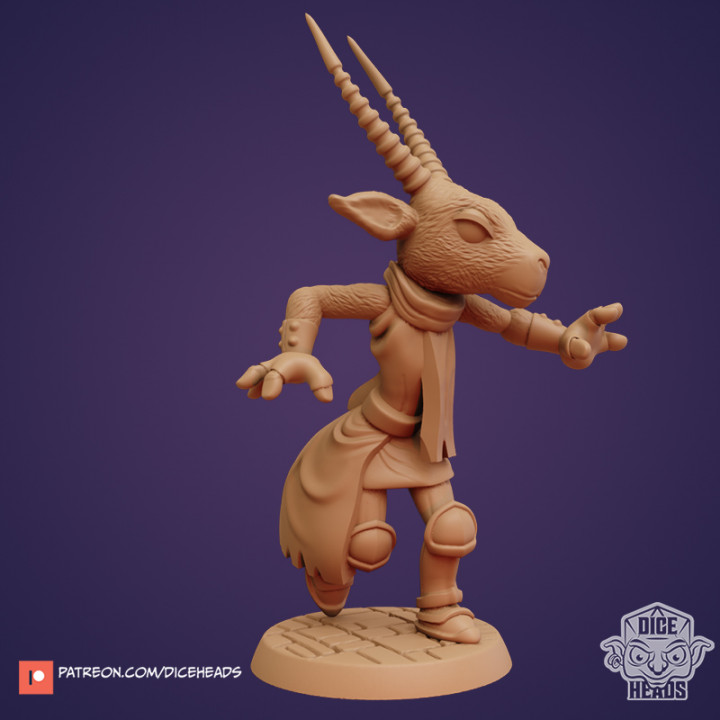 DHB-064 - Gazelle Wizard