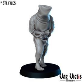 VVM-A115 - Mysterious Prisoner