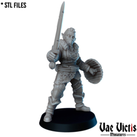 VVM-A147 - Elf Bandit