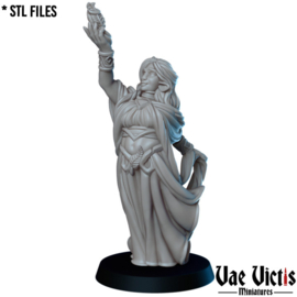 VVM-A168 - FirBolg Mage