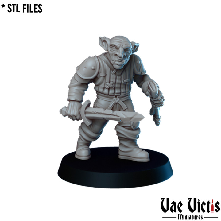 VVM-A274 - Goblin Fighter B