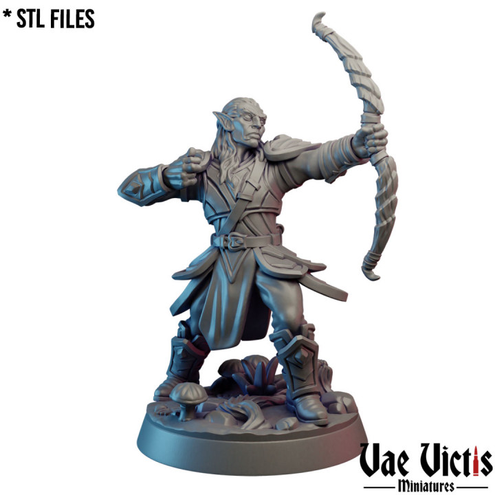 VVM-A329 - Male Elf C
