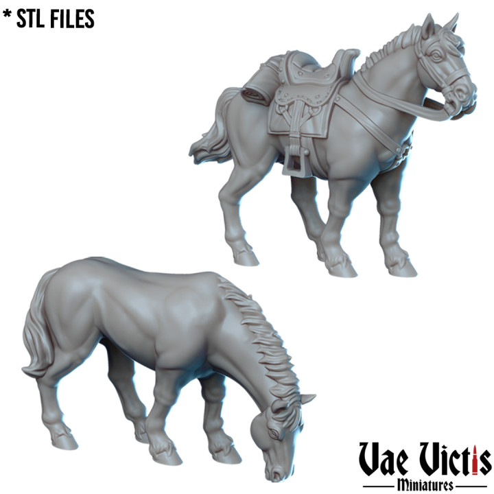VVM-A234 - Horses