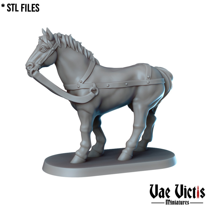 VVM-A153 - Horse