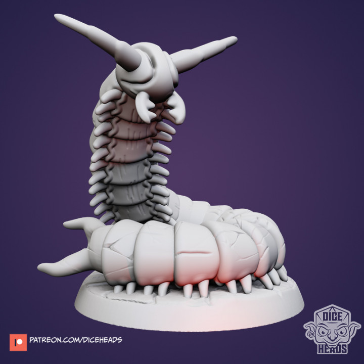 DHB-013 - Giant Centipede