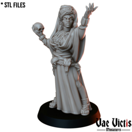 VVM-A066 - Shaman