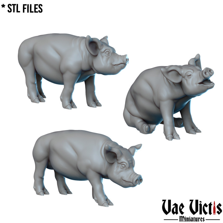 VVM-A159 - Pigs