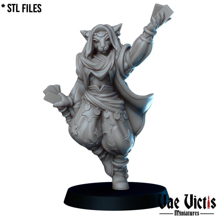 VVM-A179 - Tabaxi Diviner
