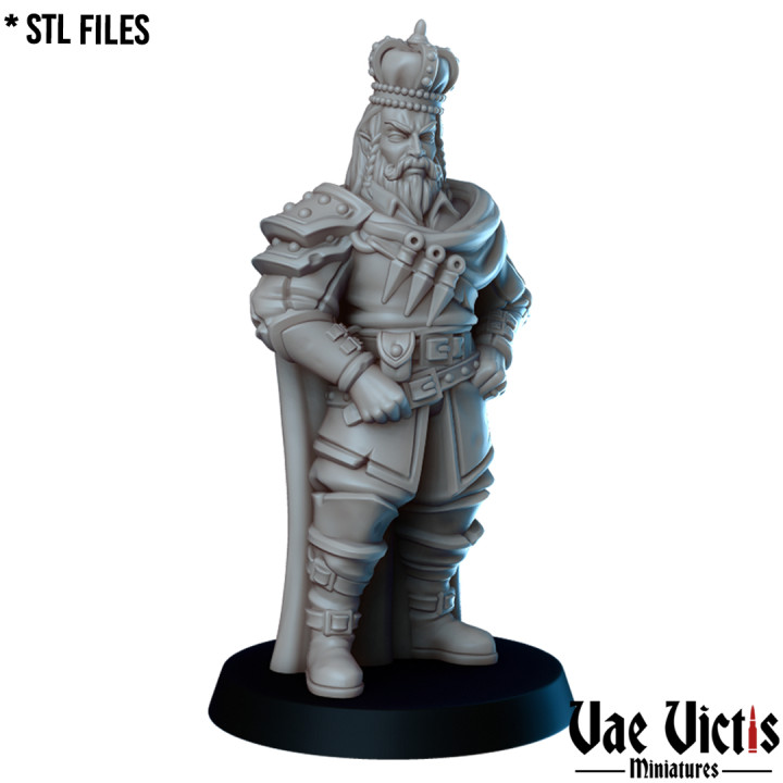 VVM-A203 - King Thief