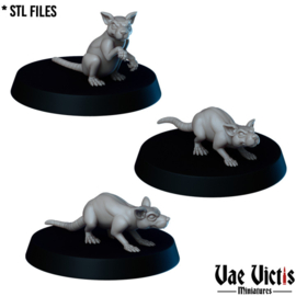 VVM-A133 - Rats