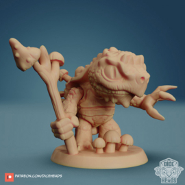 DHA014 - Tortle Druid