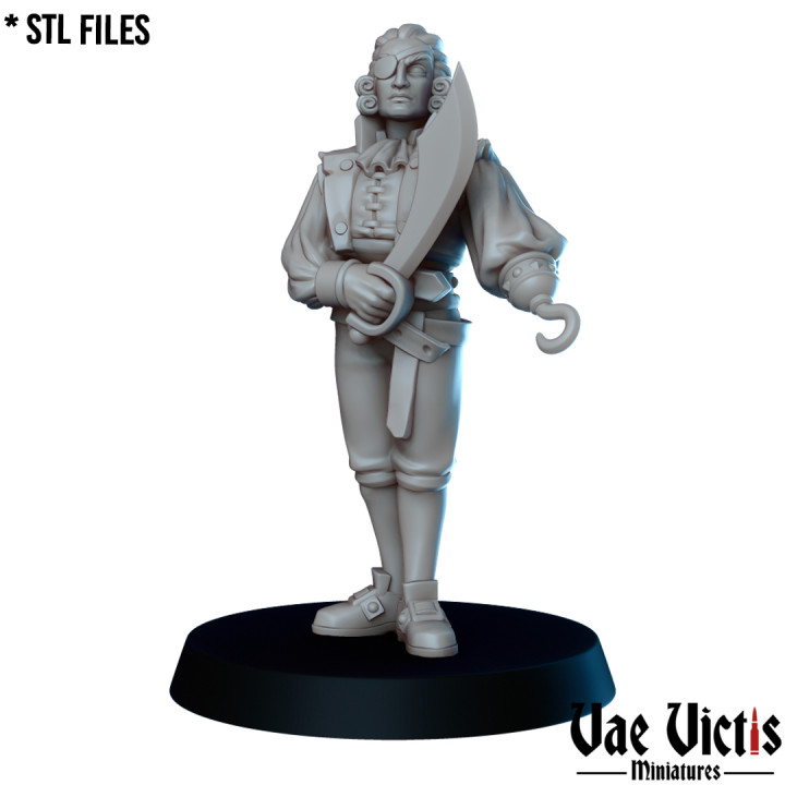 VVM-A254 - Fancy Pirate 02