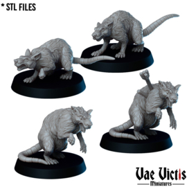 VVM-A142 - Giant Rats