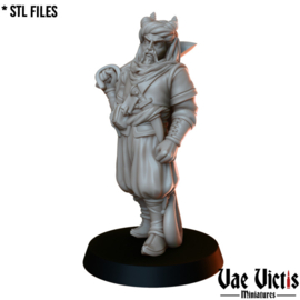 VVM-A037 - Tiefling Mameluk