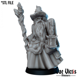 VVM-A004 - Wizard Male