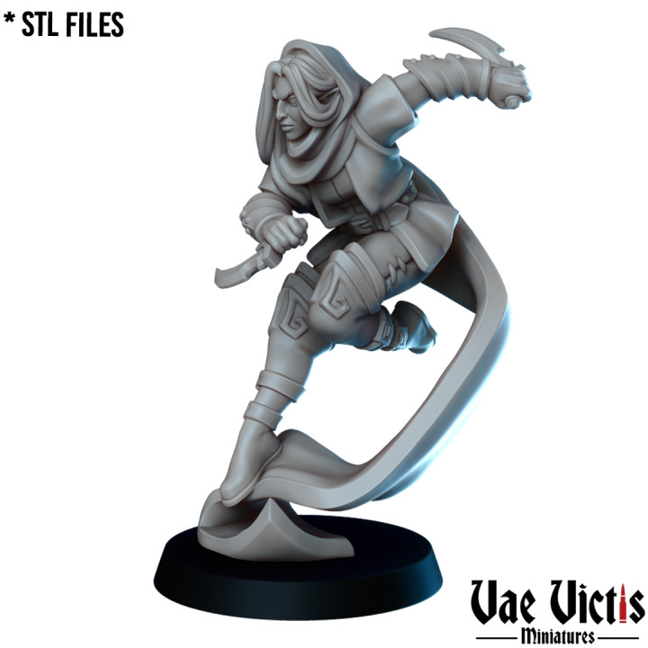 VVM-A201 - Elf Thief